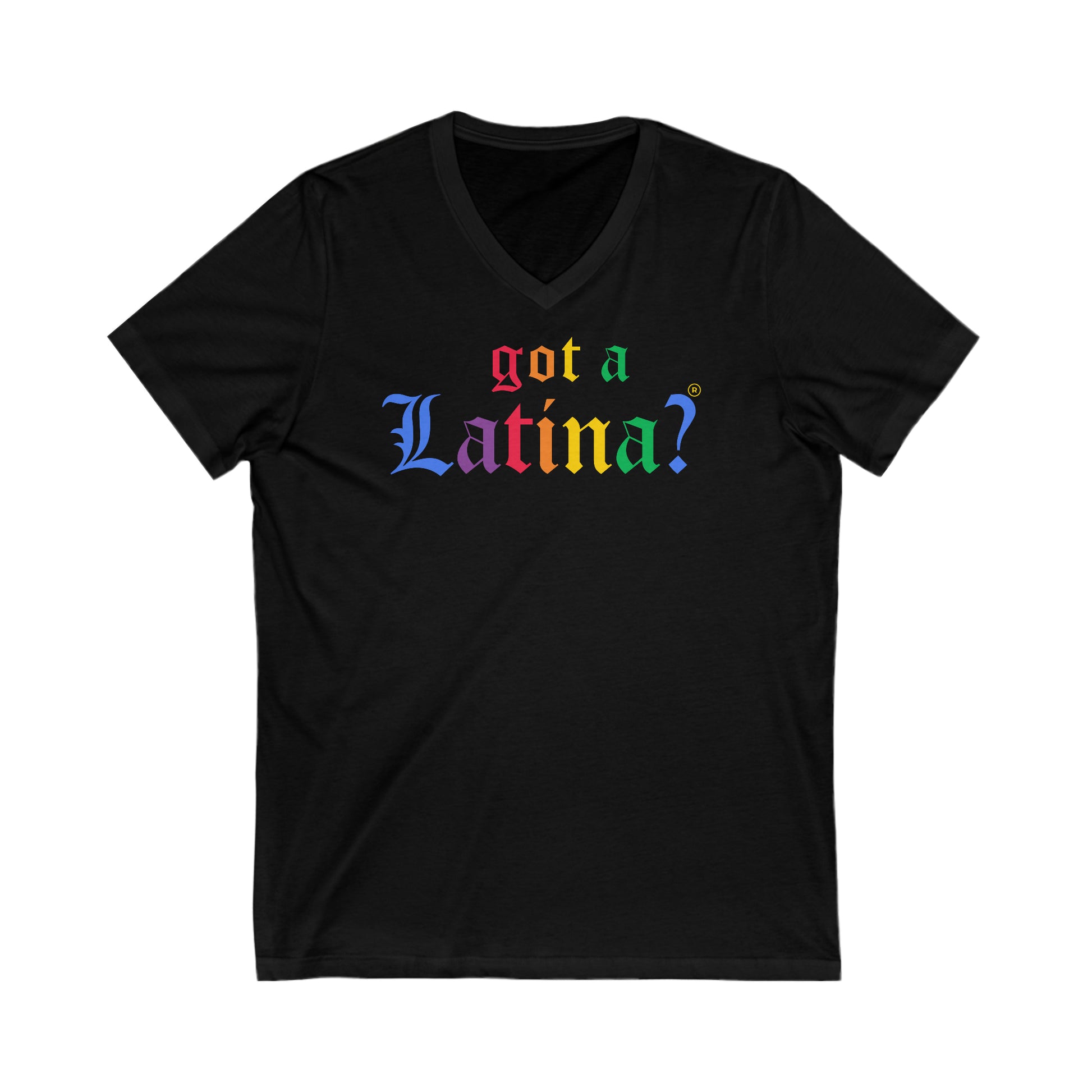 Got a Latina? Gay Pride Shirt